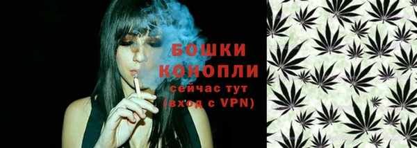 мдпв Фурманов