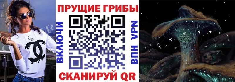 продажа наркотиков  мориарти клад  Галлюциногенные грибы мухоморы  Серафимович 